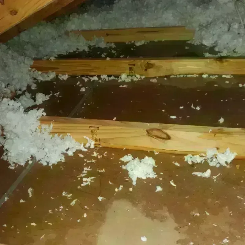 Attic Water Damage in Marshall, NC