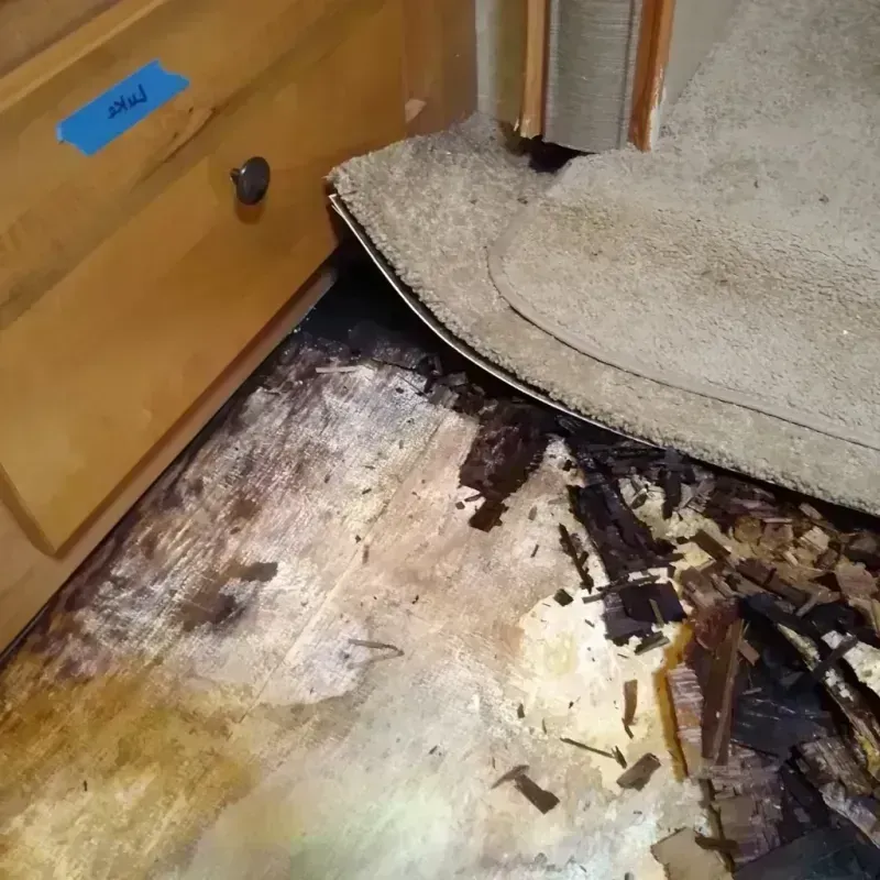 Wood Floor Water Damage in Marshall, NC